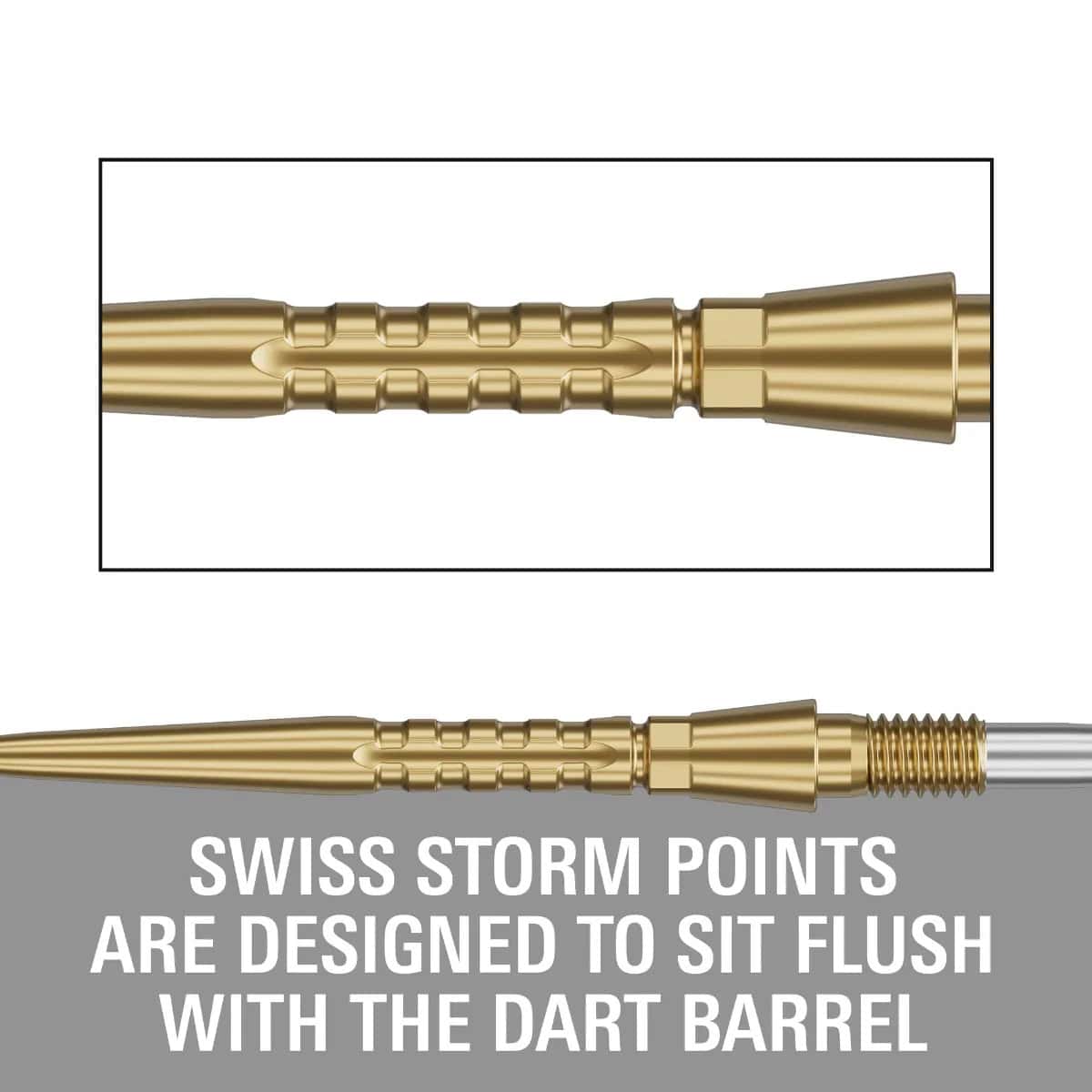 340255 Target Swiss Storm Surge Steel Points